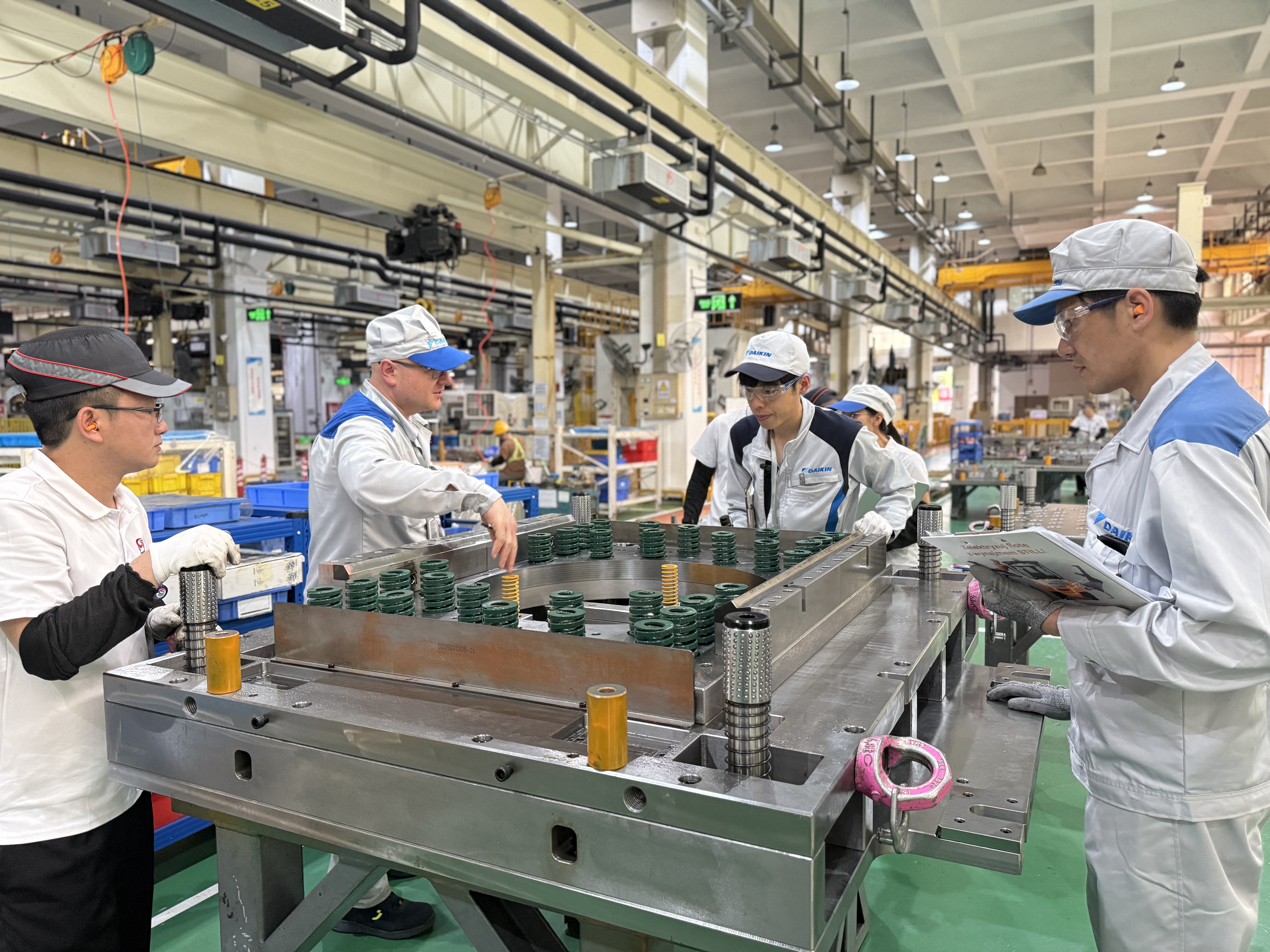 波兰大金客户4