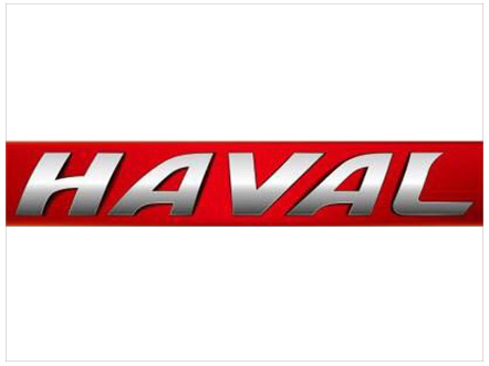 cooperation partner-haval